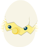 livlyImage