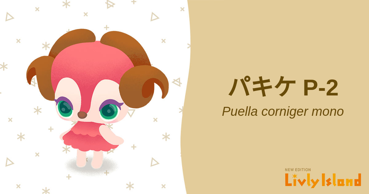 リヴリーアイランド パキケ ピキ クンパ ぬいぐるみ4体セット美