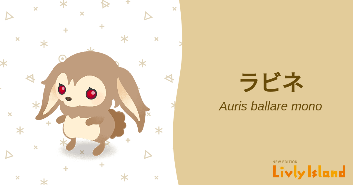 ラビネフィルのリーフレット