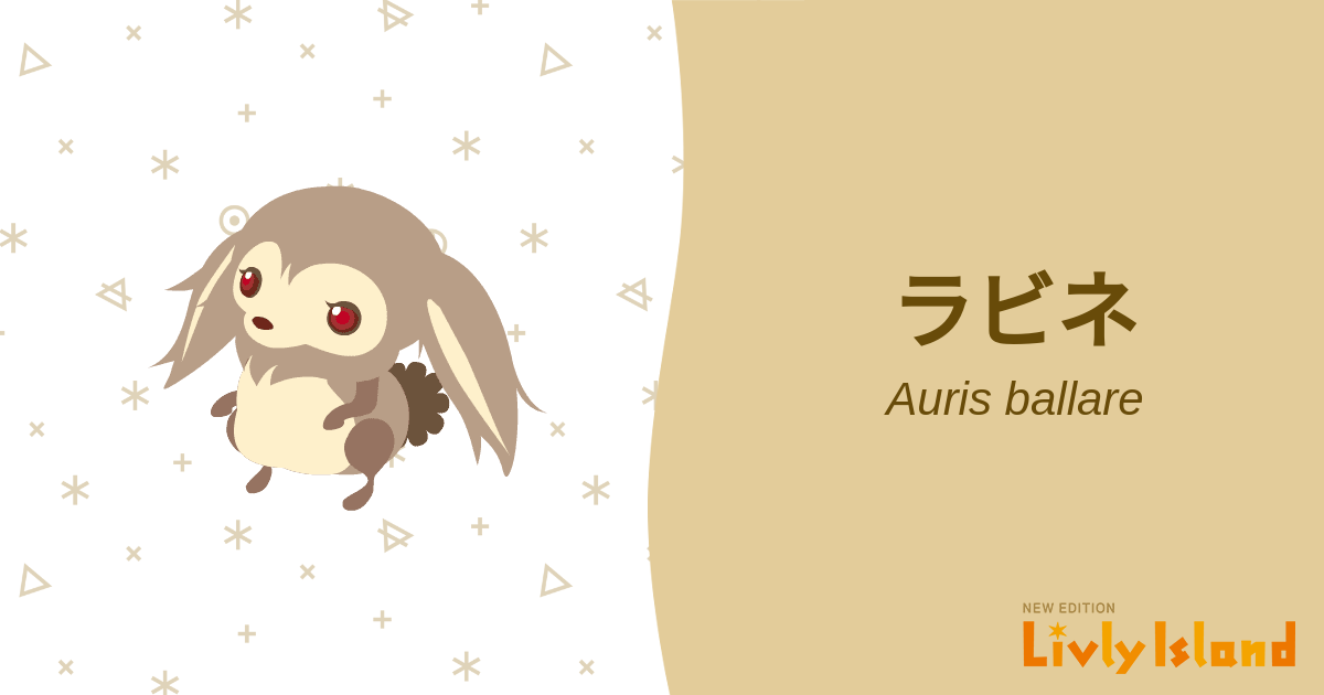 ラビネフィルのリーフレット